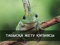 Құрбақаның табысқа жету құпиясы