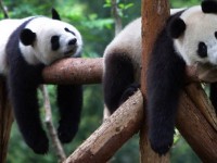 Жалқаулықтан құтылғыңыз келсе...