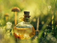 Иіссуыңыз ұзақ тұрсын десеңіз!