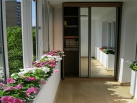 Балкондағы жылыжай