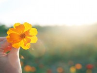 Күніңіздің сәтті өтуін қаласаңыз...