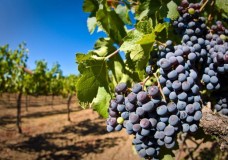 Жел сөз бе, жөн сөз бе?