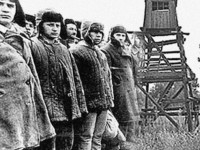 Саяси қуғын-сүргін жылдары ОҚО-да 2500 адам атылған