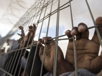 Жамбыл облысында түрмеге адам сыймай жатыр
