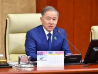 «Нұр Отанға» «катастрофа жөніндегі  маман» не үшін қажет болды?