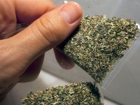 Мақтааралда мектеп директоры есірткімен ұсталды