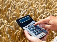 Әкімқарларға субцидия батпанқұйрық сыбаға болып тұр