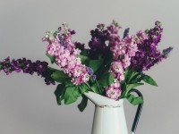 Үйден хош иіс шығу үшін...