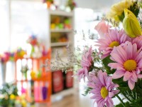 Үйде қандай гүл өсіру керек?