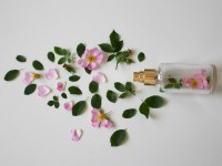 Киімге төгілген әтір иісінен қалай құтыламыз?