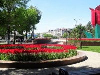 Археологтардың айтуынша Шымкент 2200 жылдан бері бар