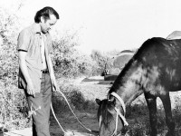 Созақта Асқар Сүлейменовке ескерткіш қойылды