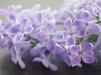 Жолы болғыш адамның 5 әдеті