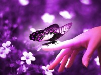 Ақпаратты қалай қабылдайсыз? (Тест)