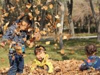 Күз балалары туралы қызықты фактілер