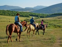 «Атпен серуендеу - әрі спорт, әрі шабыт...»