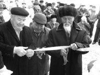 Төле биде төрт бірдей медициналық мекеме ашылды