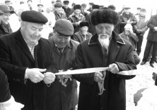 Төле биде төрт бірдей медициналық мекеме ашылды