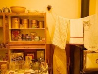 Асүй сүлгілерінің қаупі анықталды
