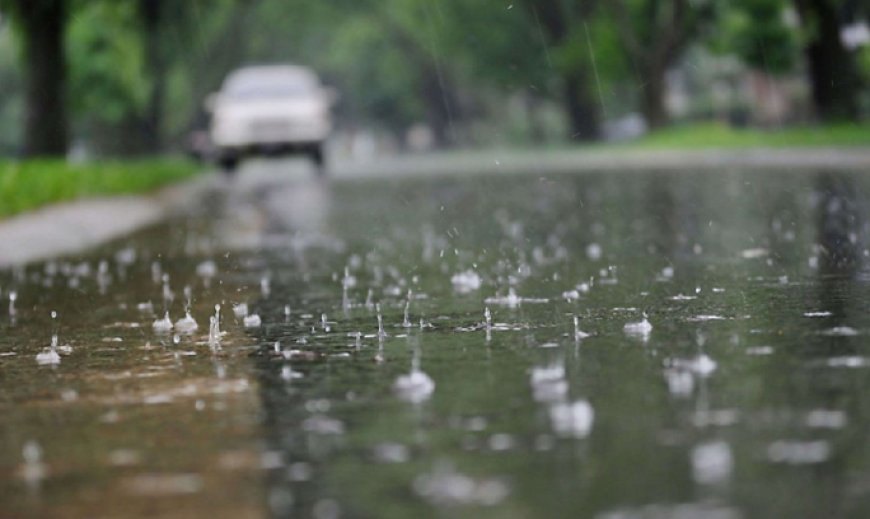 Дождевая вода – на пользу