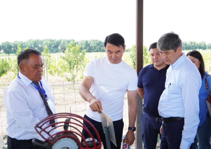 Сайрамда кәсіпкерлер жиналып, жүзім шаруашылығын талқылады