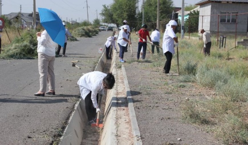 Тазалық ауладан басталады