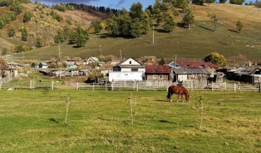 Ауылды көркейткен жоба